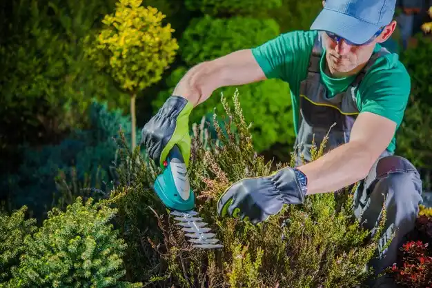 landscaping services Bertrand